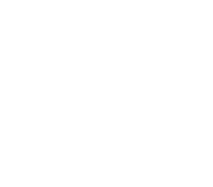 Proyectar el Cambio 2024