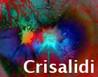 Crisalidi