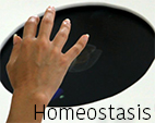 Homeostasis